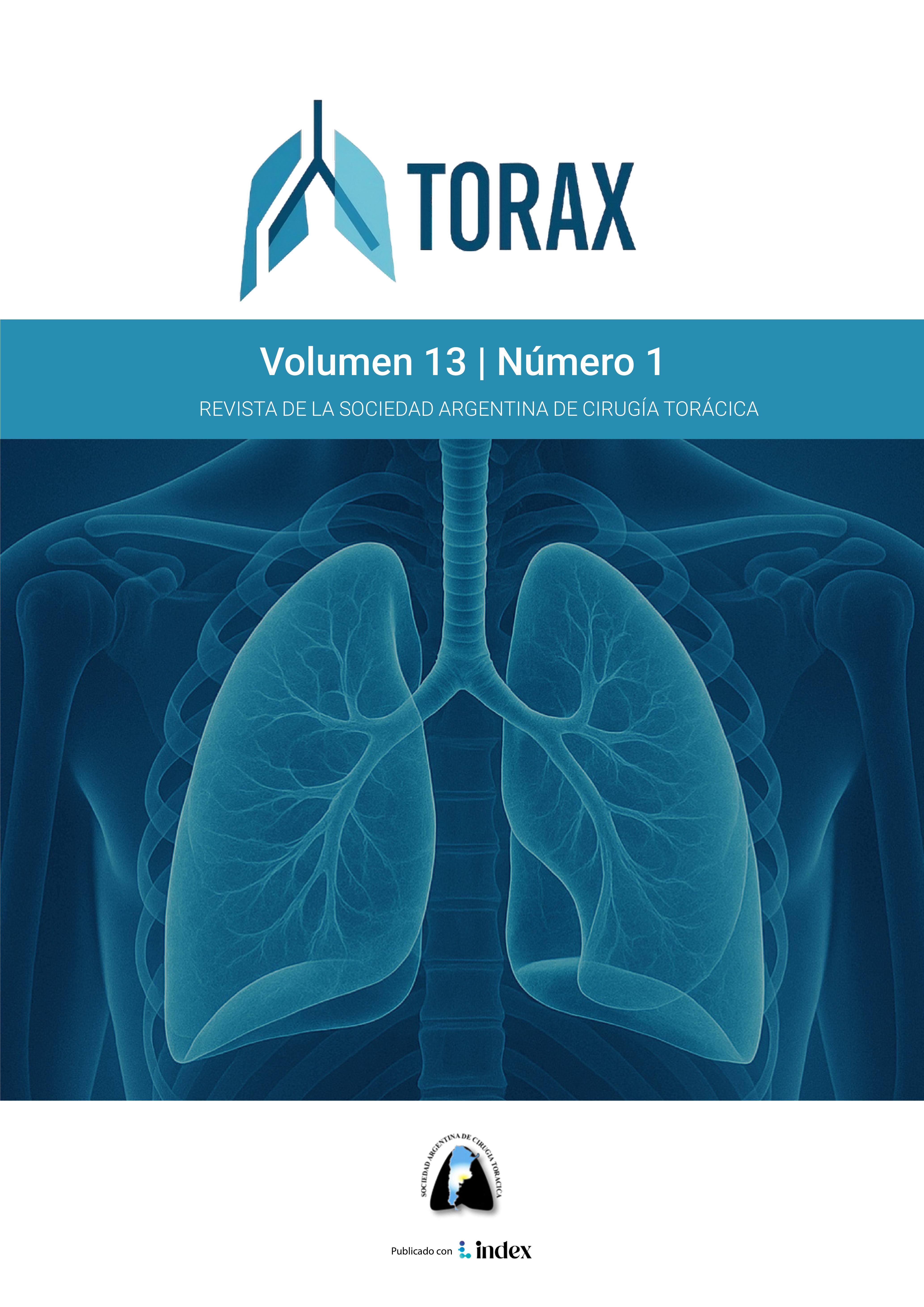 Portada Vol. 13 Núm. 1